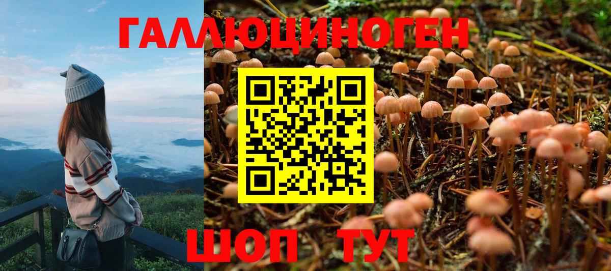 Псилоцибиновые грибы Magic Shrooms  даркнет сайт  Ефремов  Вход с VPN 